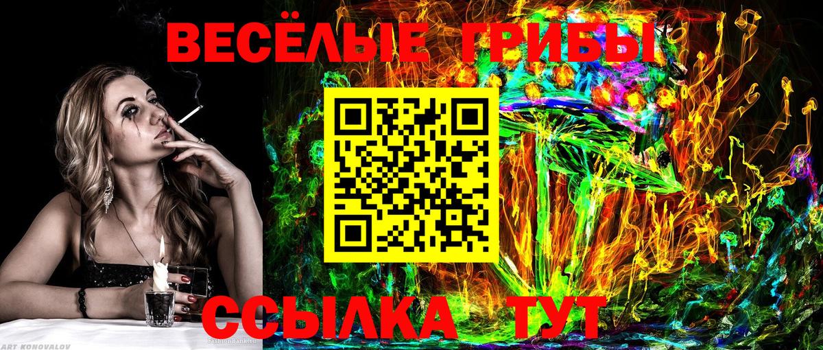 Усть-Джегута  Галлюциногенные грибы Magic Shrooms  Вход с VPN  Псилоцибиновые грибы мухоморы 