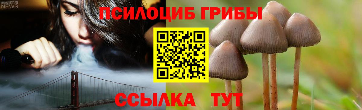 Галлюциногенные грибы GOLDEN TEACHER Усть-Джегута